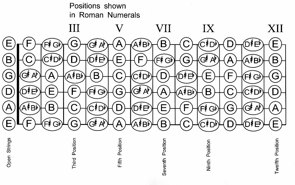 Guitar Fretboard Chart